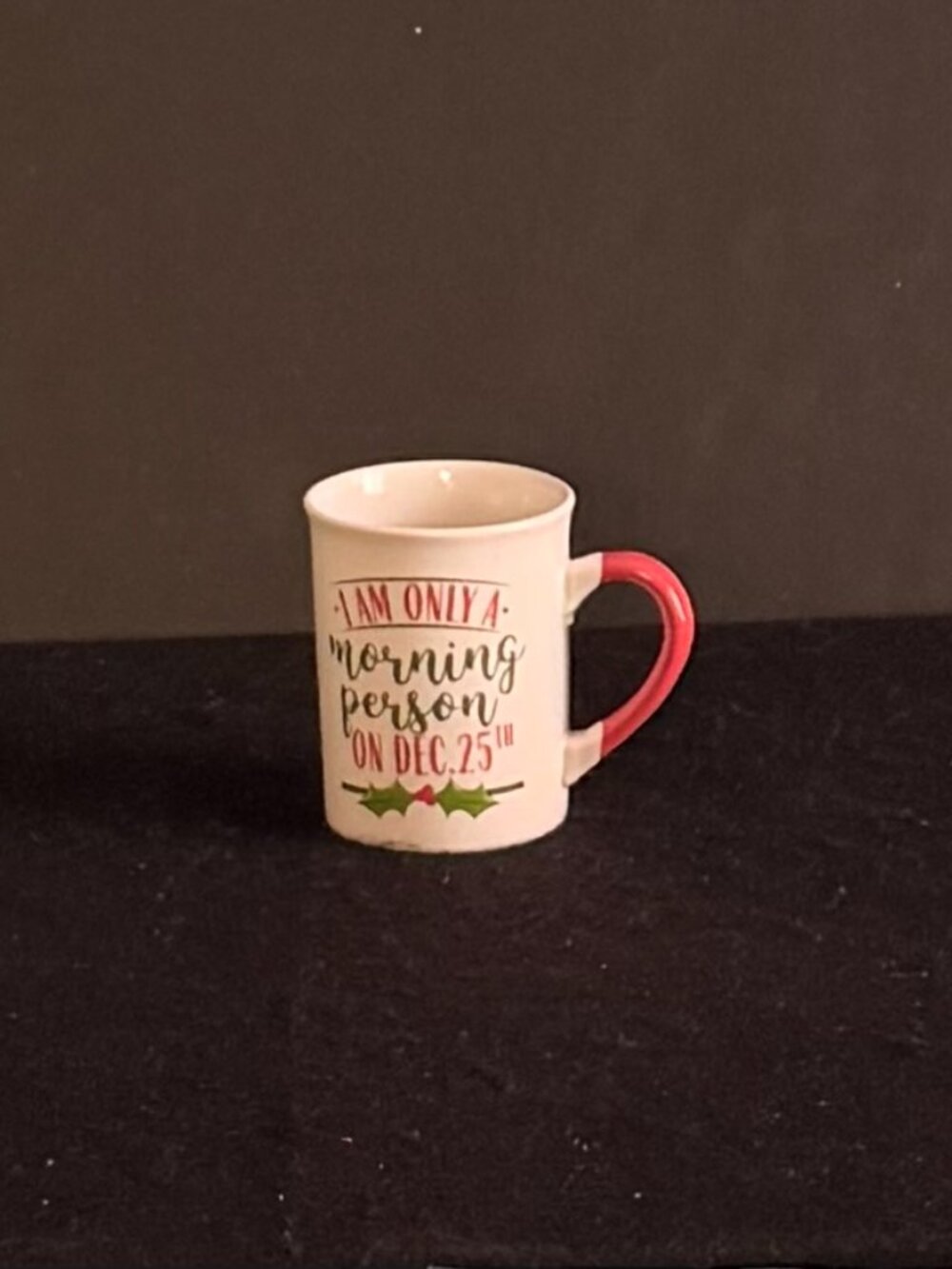 🎄Christmas In July”🎄NWT ‘I Am Only A Morning Person…’ Mug/Cup